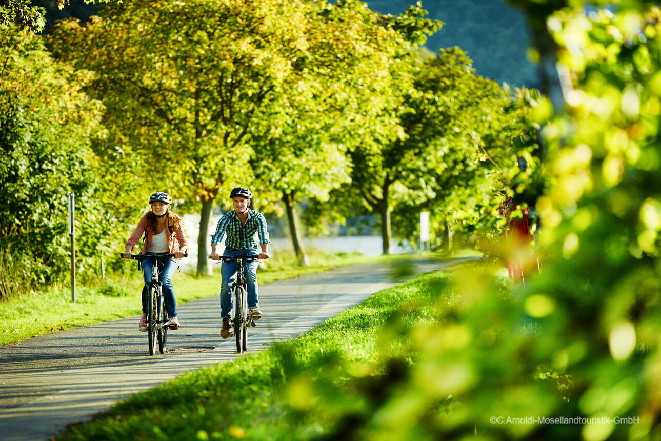 La Moselle à vélo de Trèves à Coblence