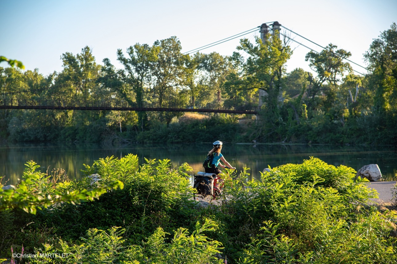 Cycling week along the ViaRhôna from Vienne to Avignon