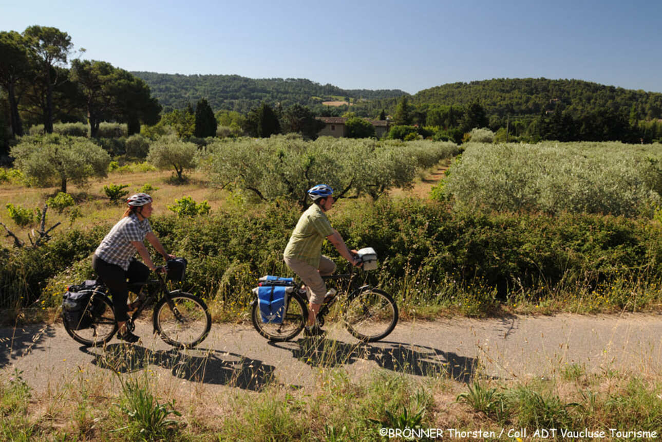 5 jours en Provence à vélo entre lavande, vignes et oliviers