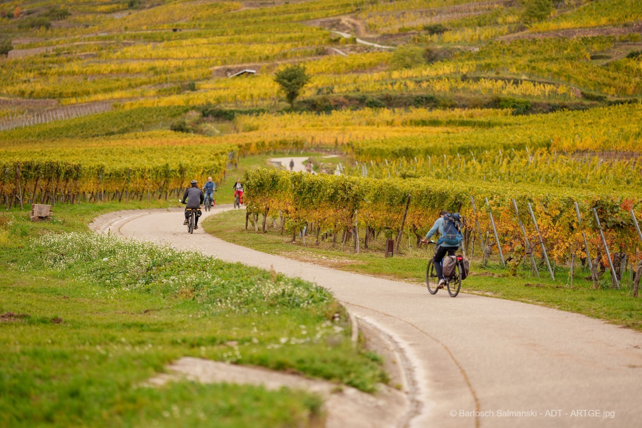 Une semaine en Alsace à vélo de Strasbourg à Colmar