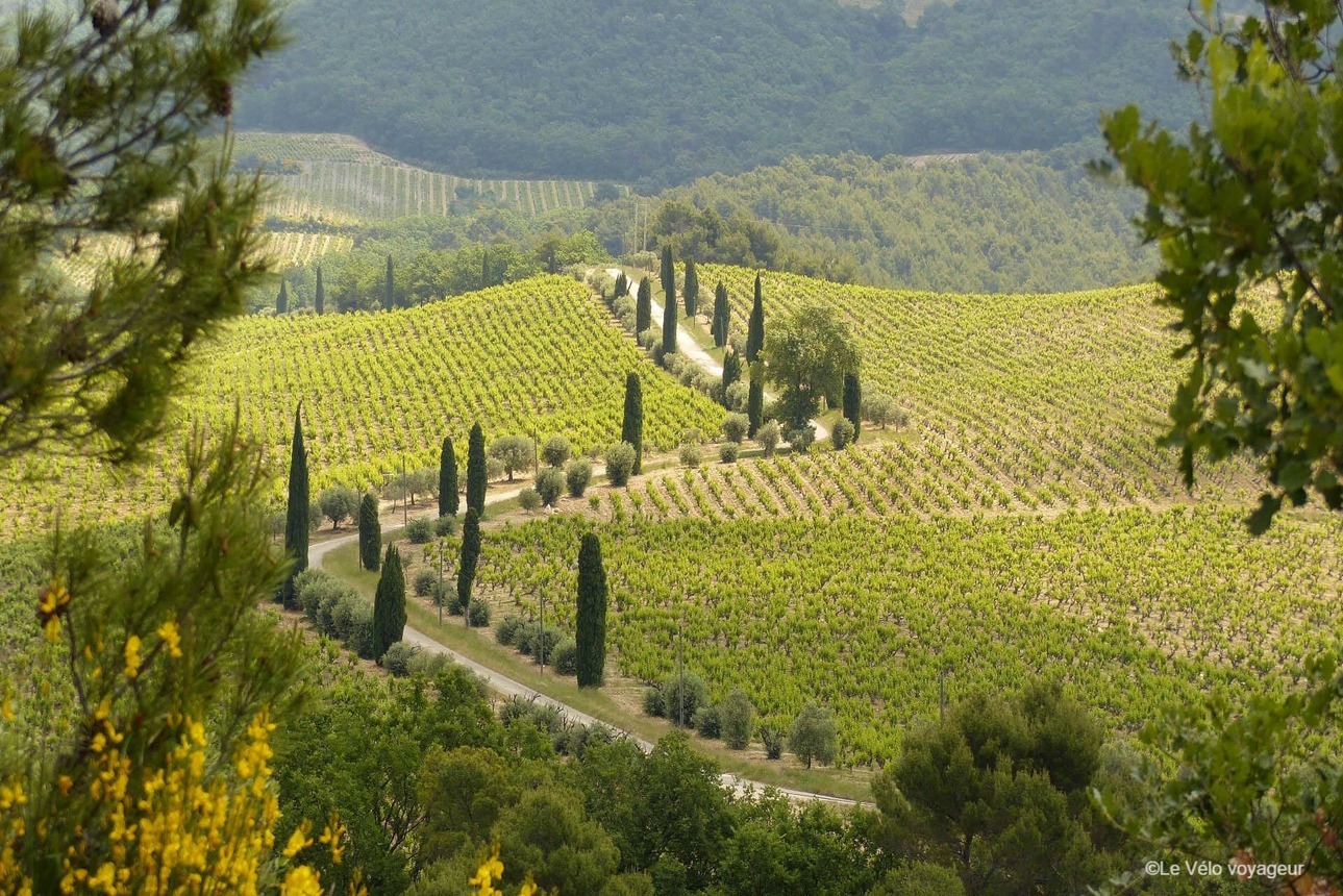 Week-end à vélo au coeur de la Provence