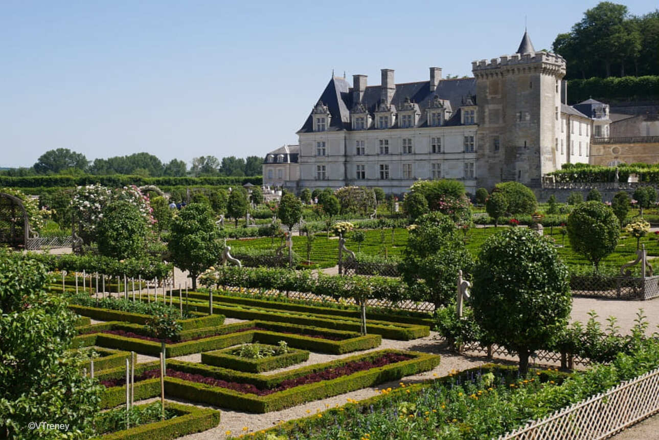 Cycling in the Loire Valley from Blois to Saumur