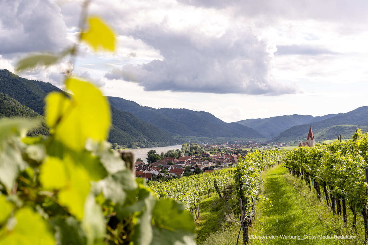 Along the Danube river from Passau to Vienna