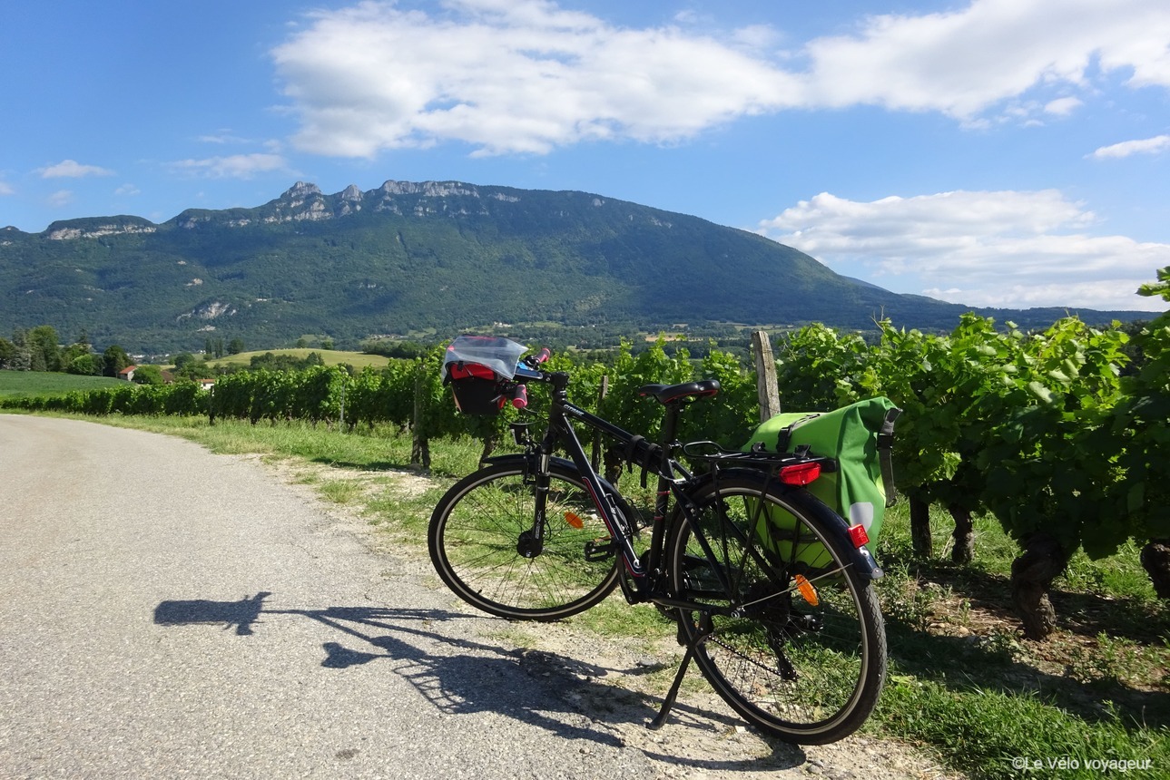 Le tour de la Riviera des Alpes : entre Rhône, canal et lacs