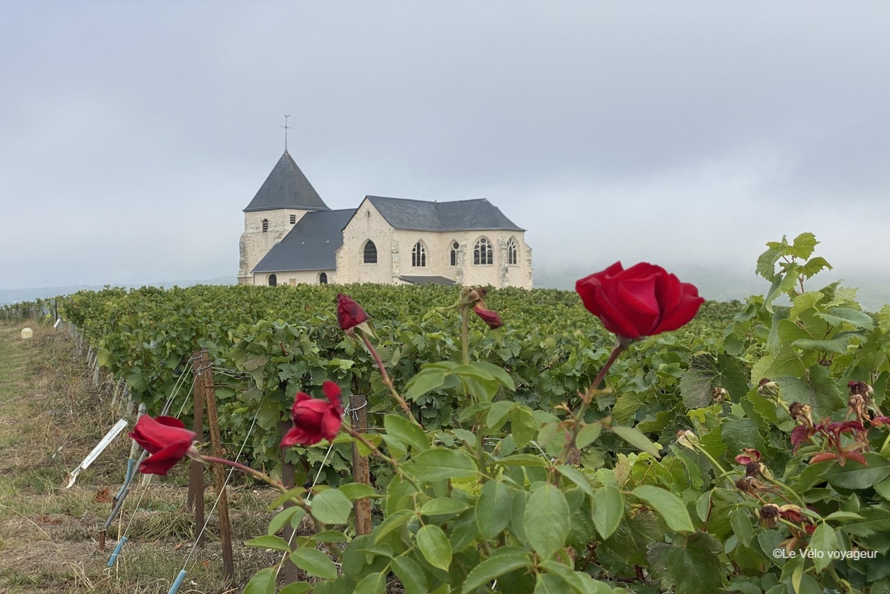 4-day bike tour in Champagne from Reims to Epernay