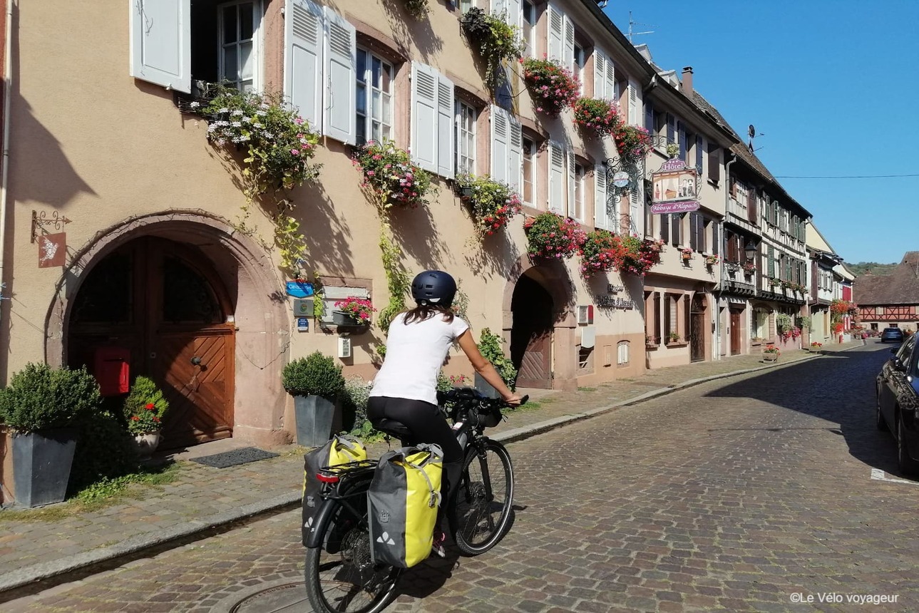 Escapade à vélo au coeur des vignobles alsaciens
