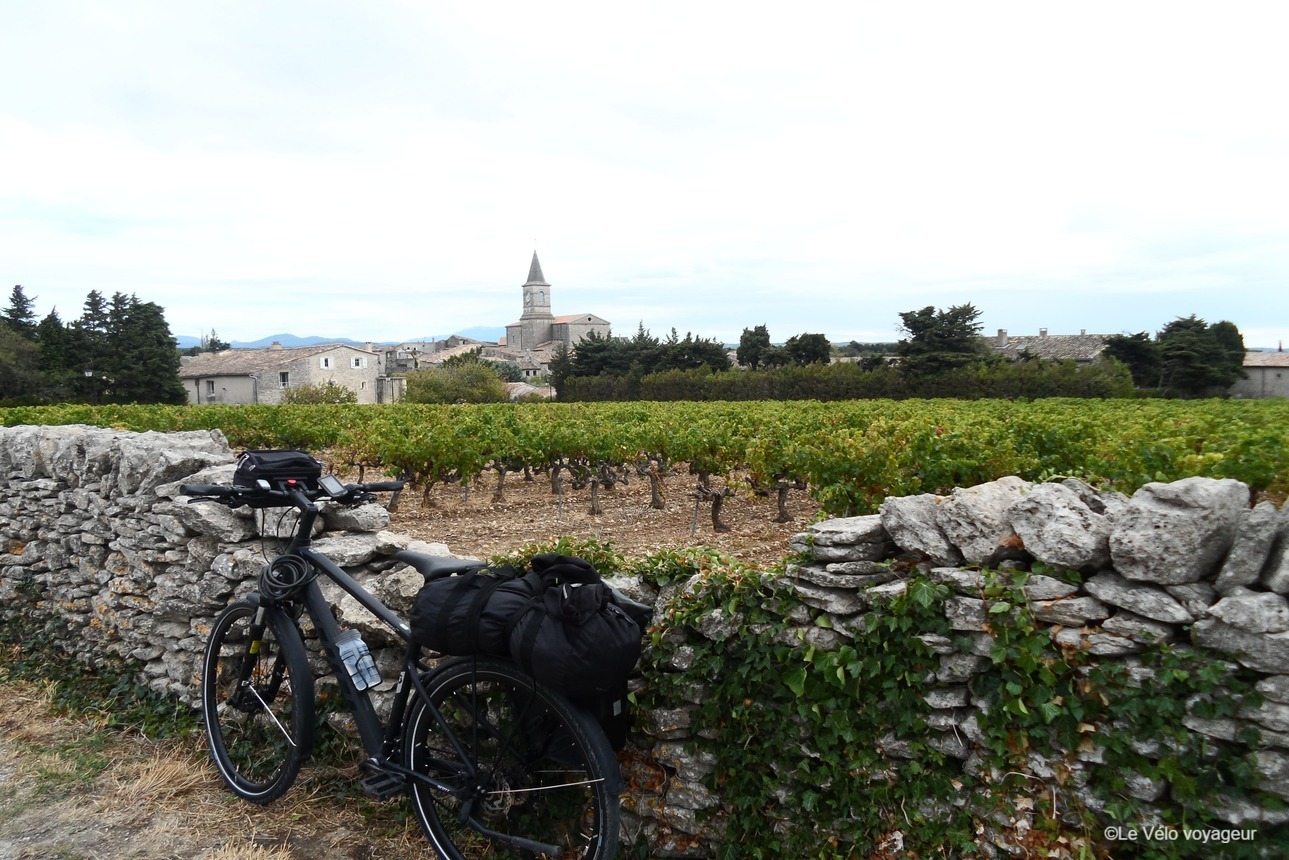 Cycling Provence and Camargue from Avignon to Nimes