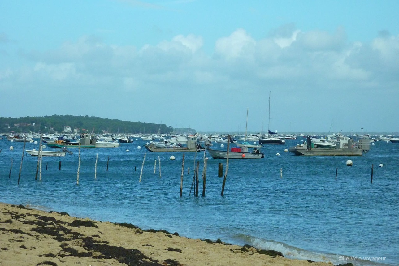 Family tour along the Atlantic Coast