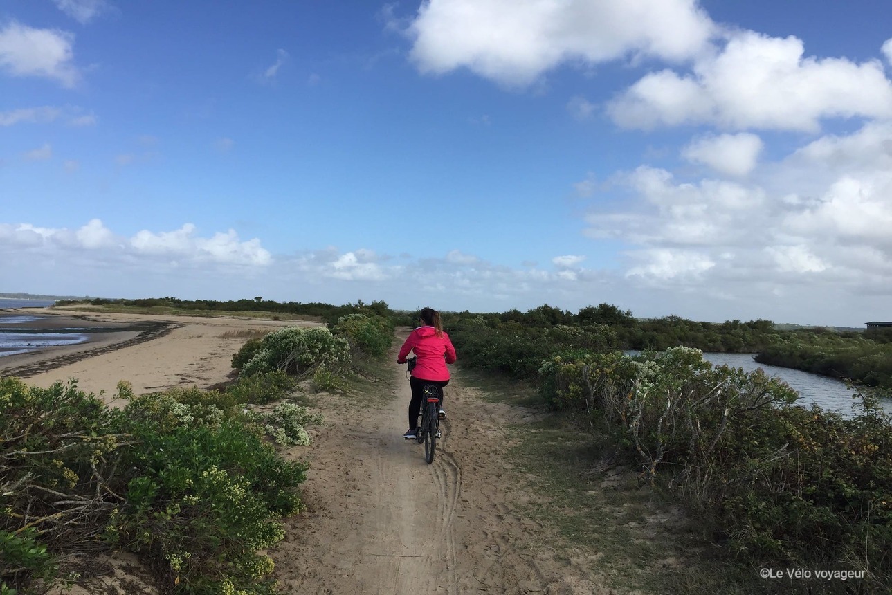 A vélo sur le bassin d’Arcachon, une escapade vivifiante