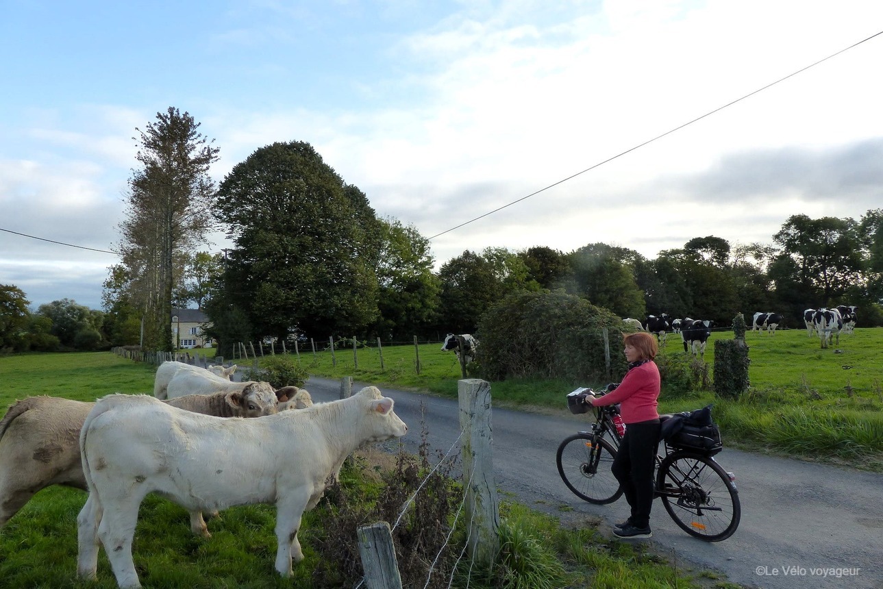 Normandy bike tour : from Bayeux to Mont-Saint-Michel