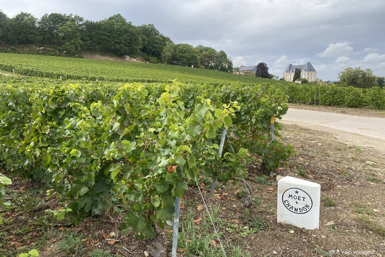 Les vignobles de Champagne à vélo en 3 jours