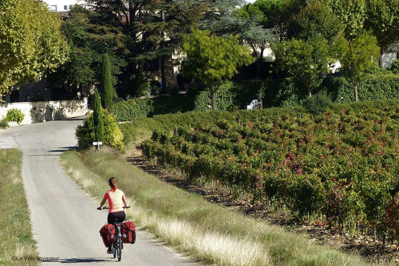 Cycling week to discover the ViaRhôna and Dolce Via