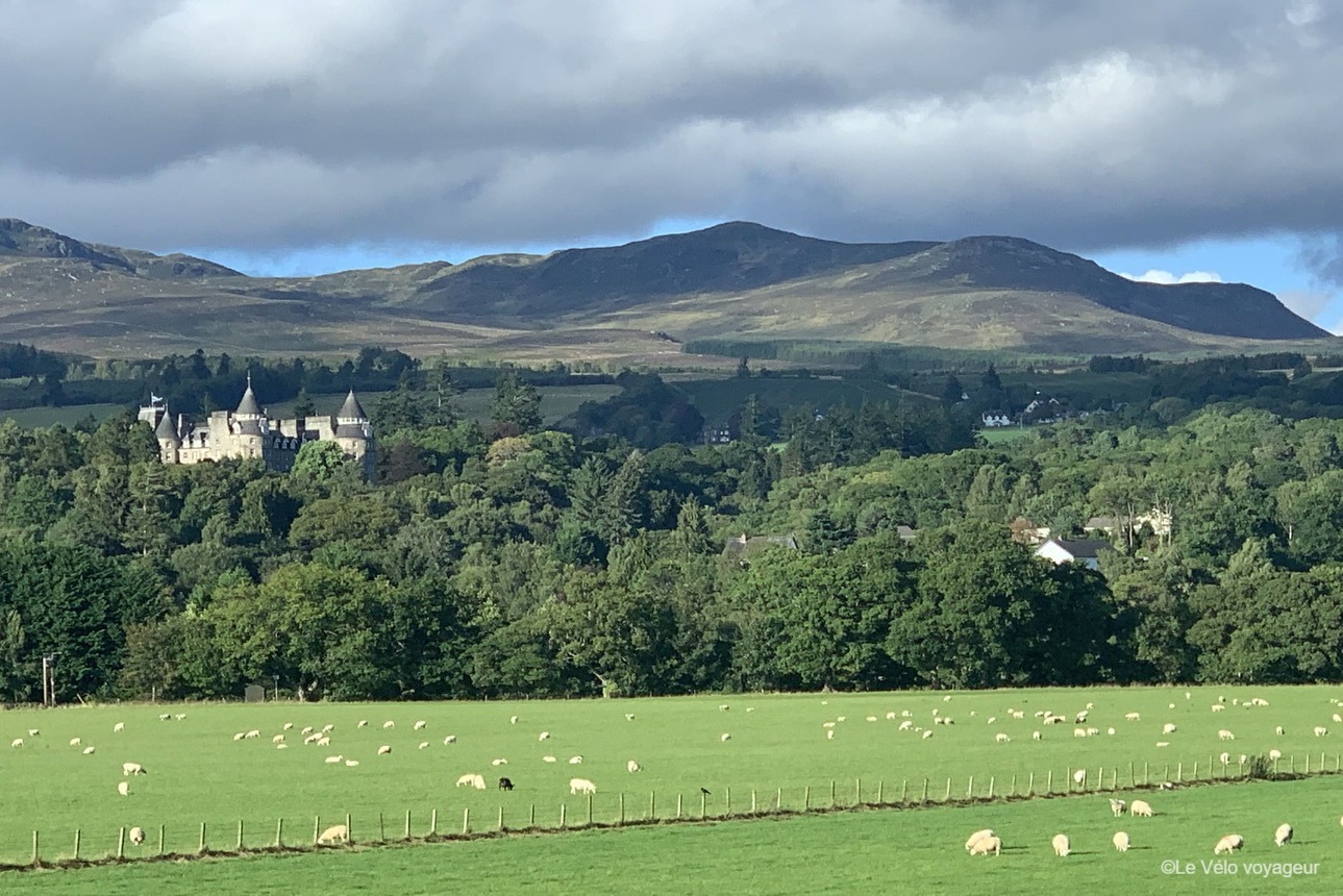 Château avec des moutons en Ecosse.