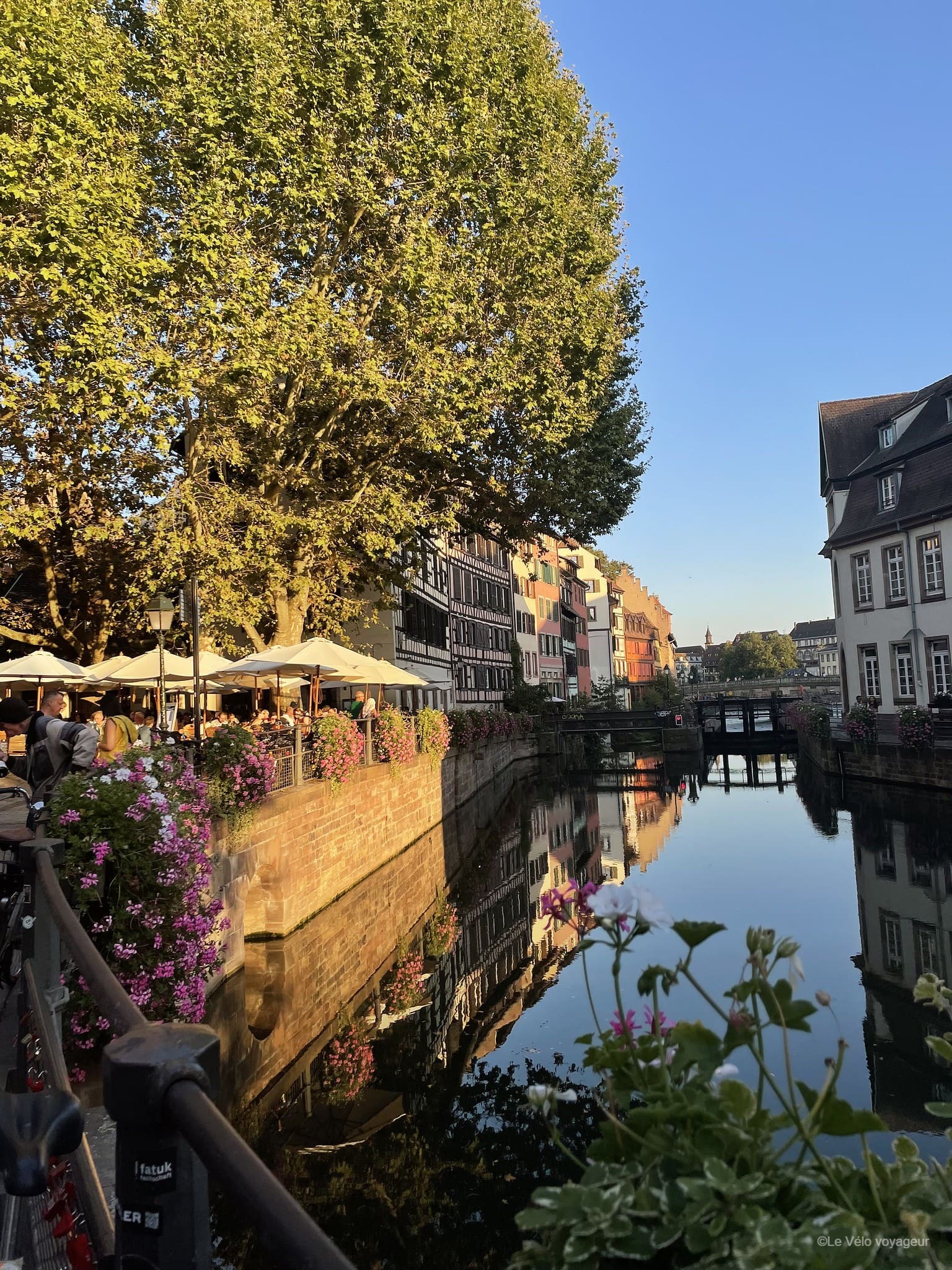 2-day bike tour around Colmar