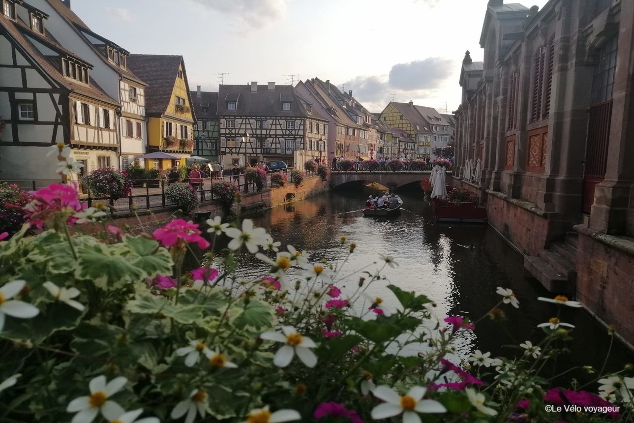 Alsace wine road and Doubs river by bike