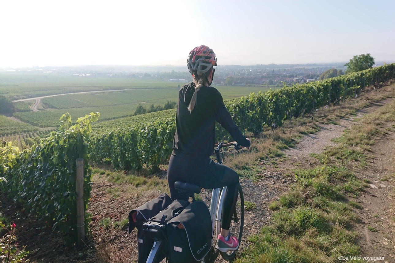 Les vignobles de Champagne à vélo en 3 jours