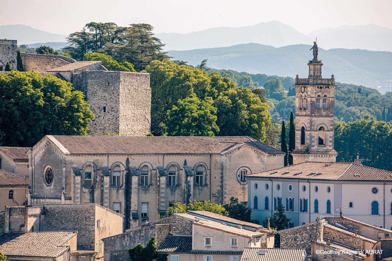 7-day family cycle trip along the ViaRhôna