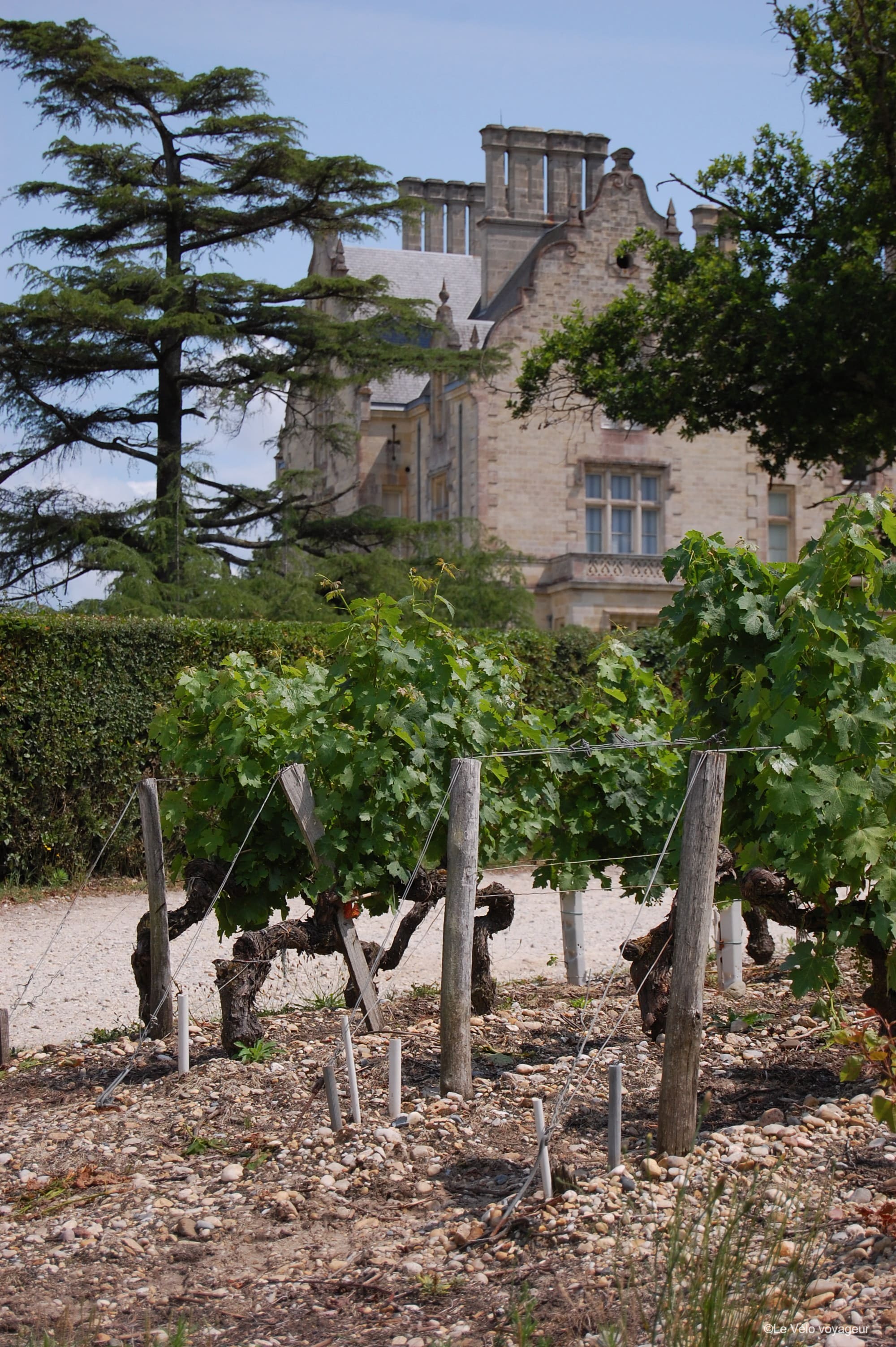 Vineyards and castles : 10-day bike tour from Bordeaux to Sarlat