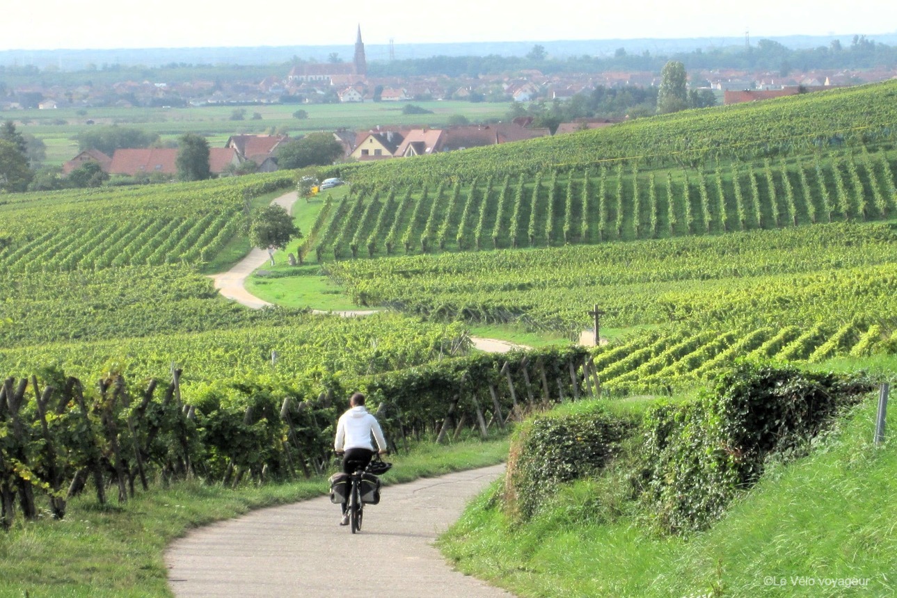 5 jours sur la route des vins de Strasbourg à Colmar