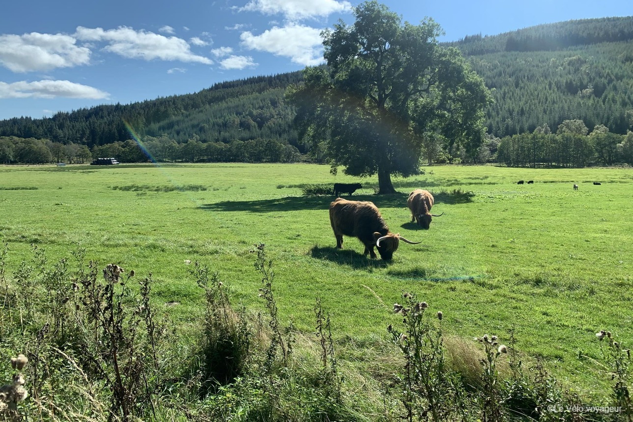 Cycling the lochs of Scotland