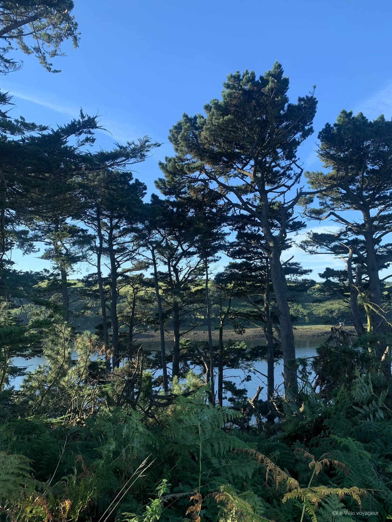 De Morlaix à Quimper : les côtes du Finistère à vélo
