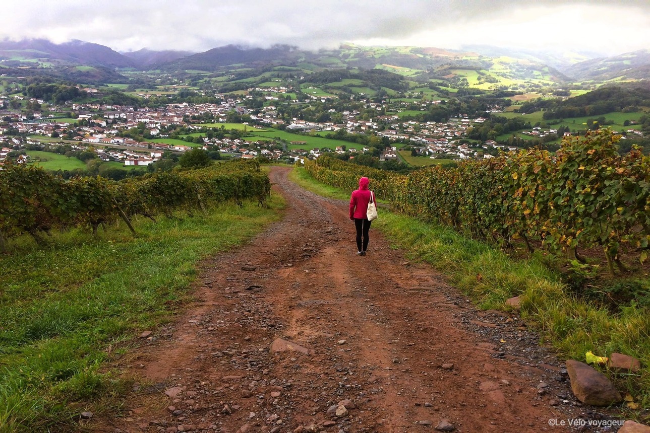 Cycling holiday to the highlights of the French Basque country