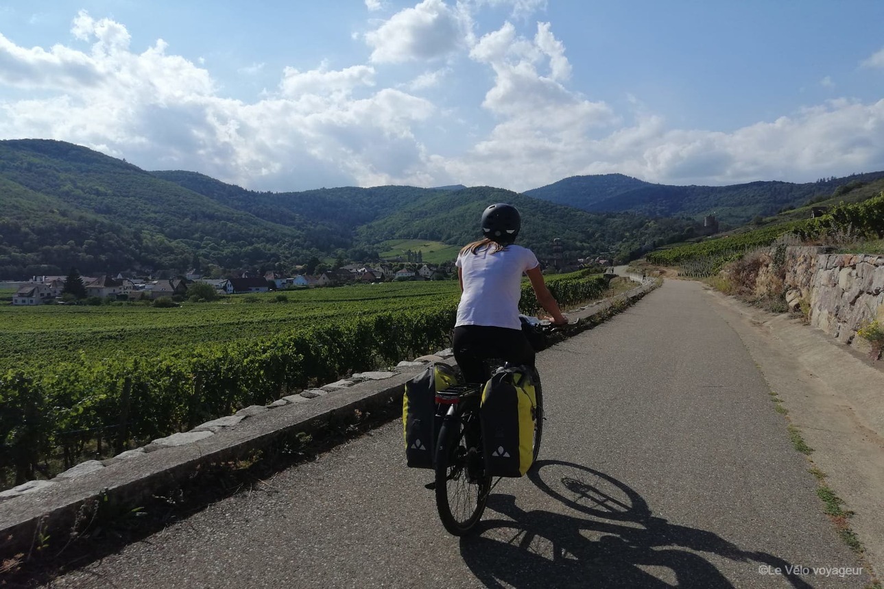 Luxury trip : The best of Alsace by bike