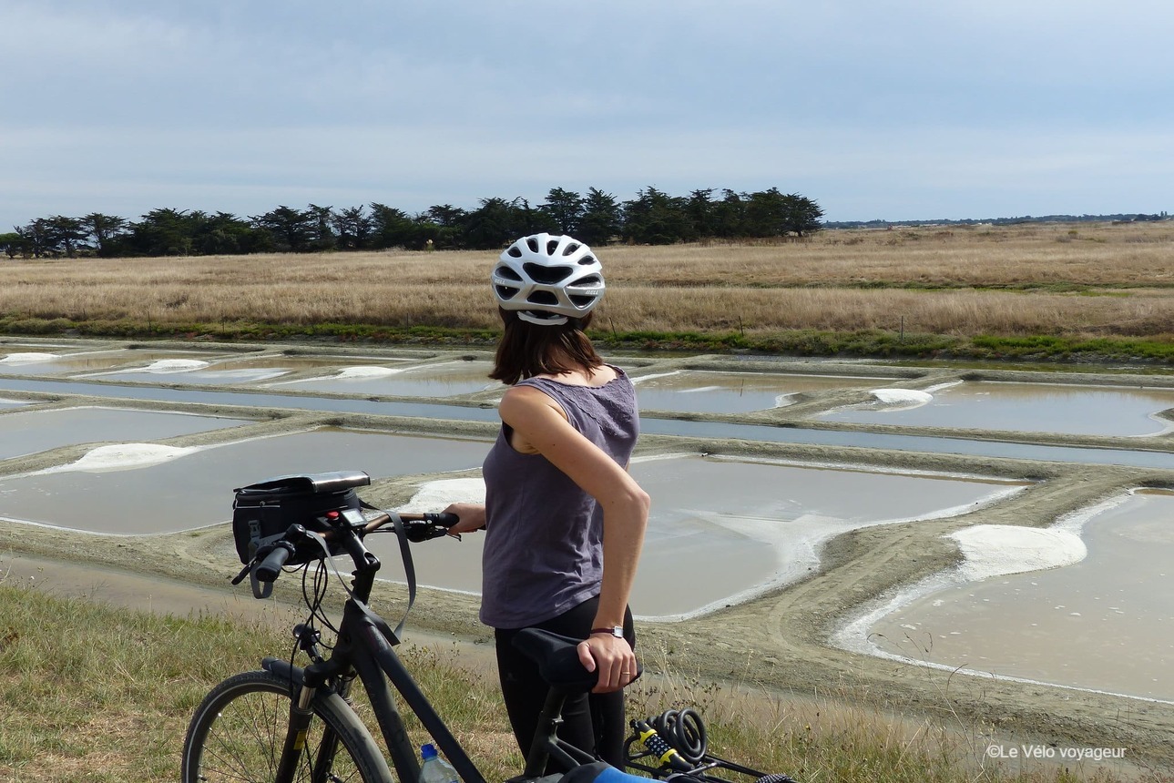 The Atlantic cycle route from Pornic to La Rochelle