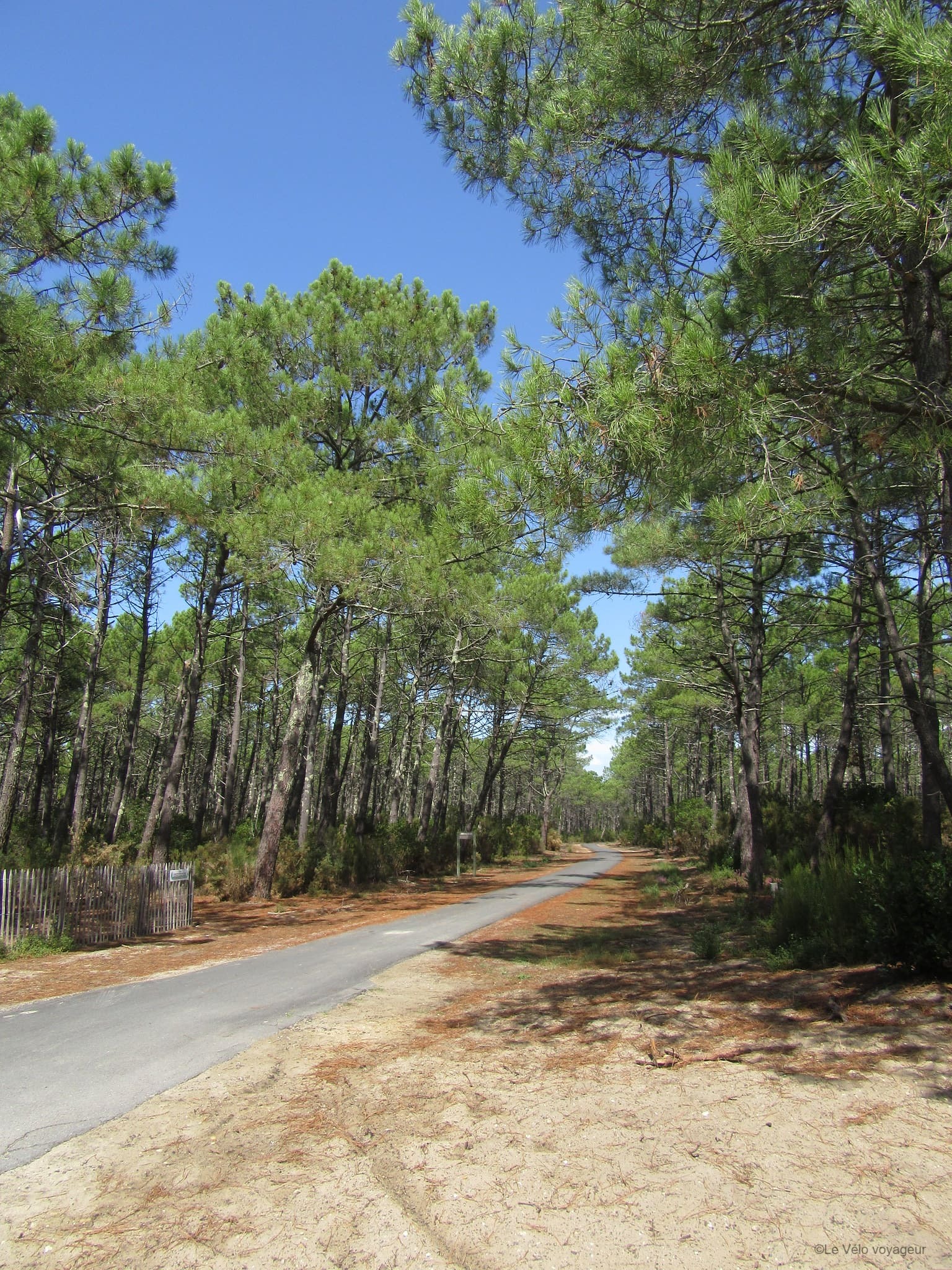Family tour along the Atlantic Coast