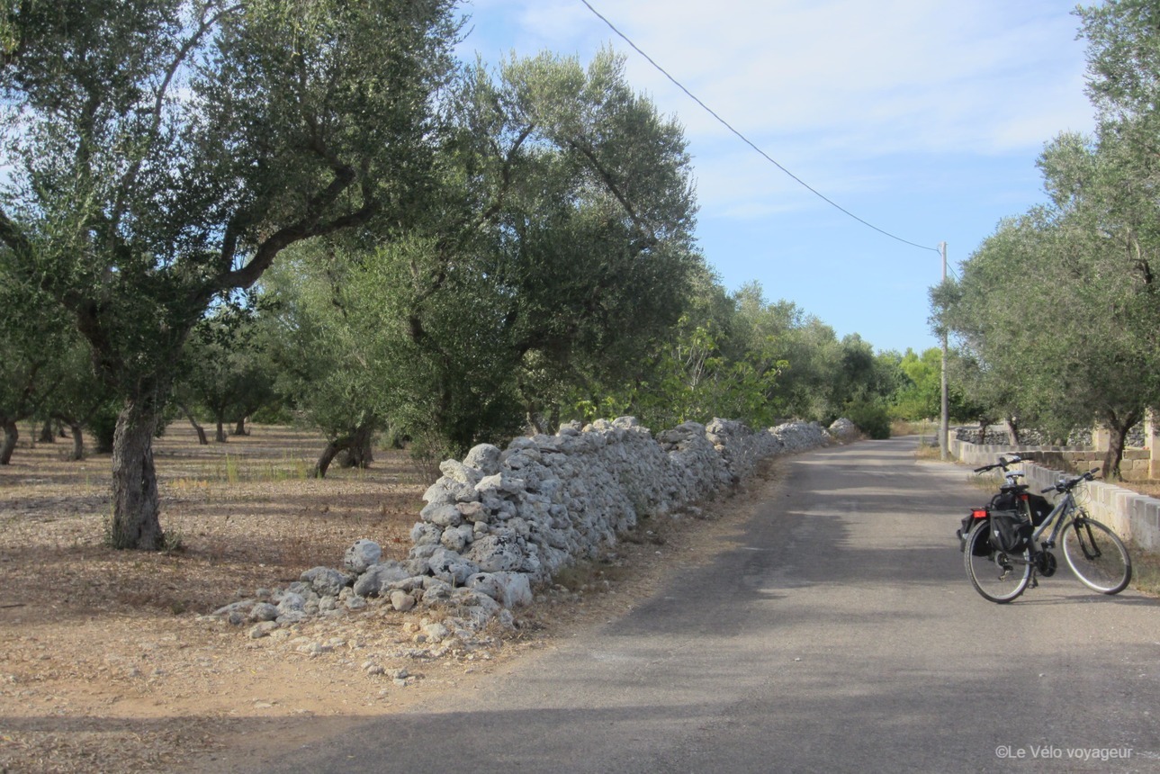 Explore Puglia’s Unesco sites by bike!