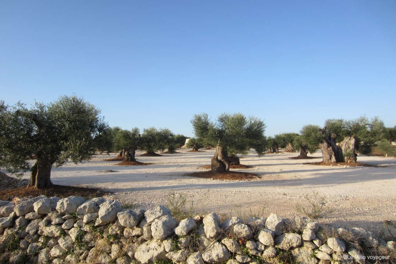 Les Pouilles à vélo : escapade dans le Salento