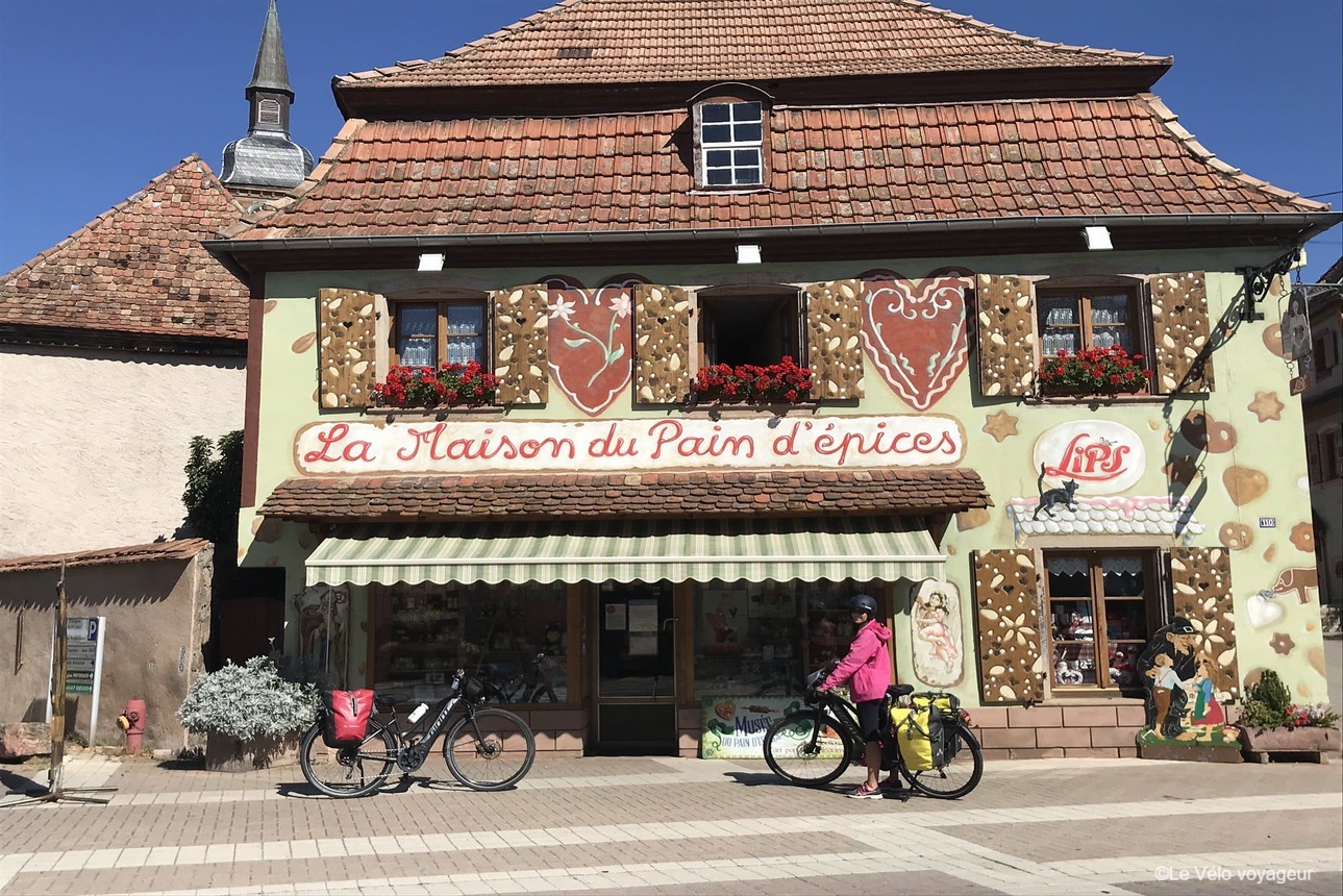 Escapade à vélo au coeur des vignobles alsaciens