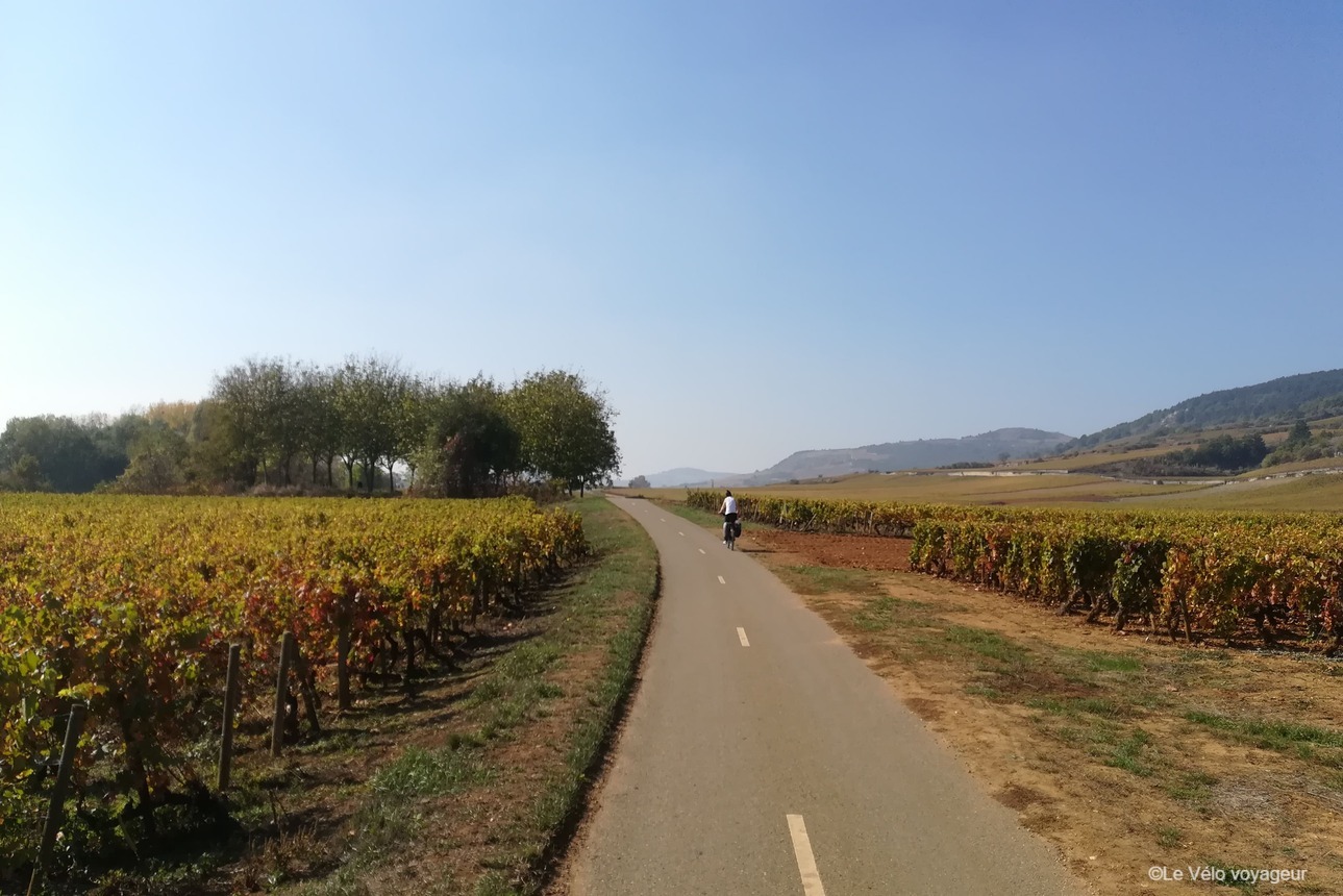 3-day bike tour in the wine region of Burgundy