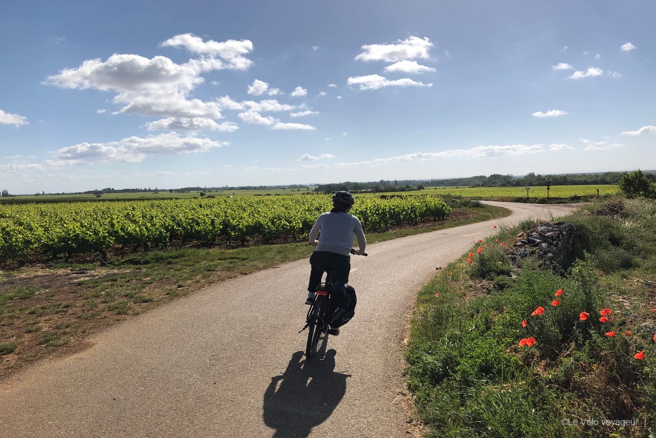 Bike getaway through the vineyards of Burgundy