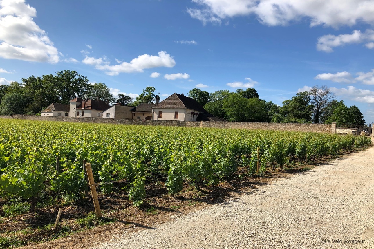 Bike getaway through the vineyards of Burgundy