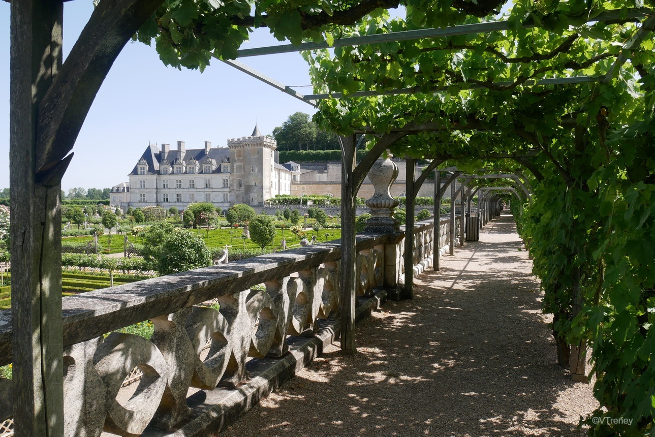 A cycling week from Tours to Saumur: our favorite in the Loire