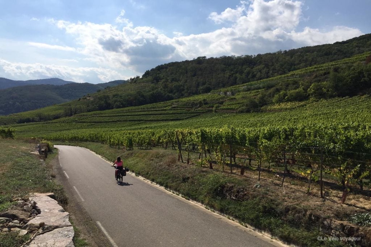2-day bike tour around Colmar