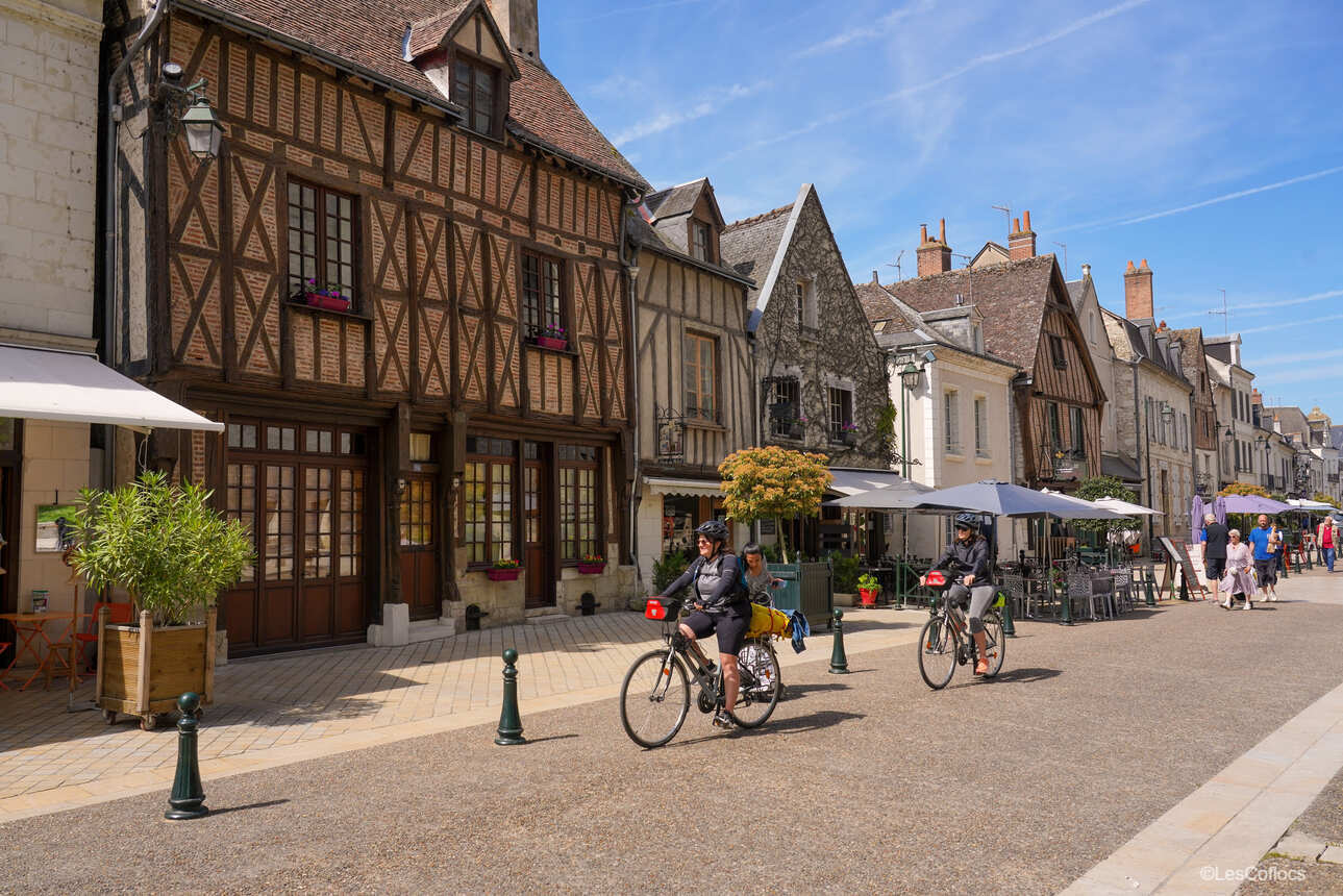 3-day bike tour to the Loire Valley castles