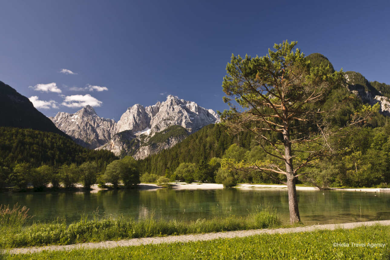 Cycle the north of Slovenia from Bled