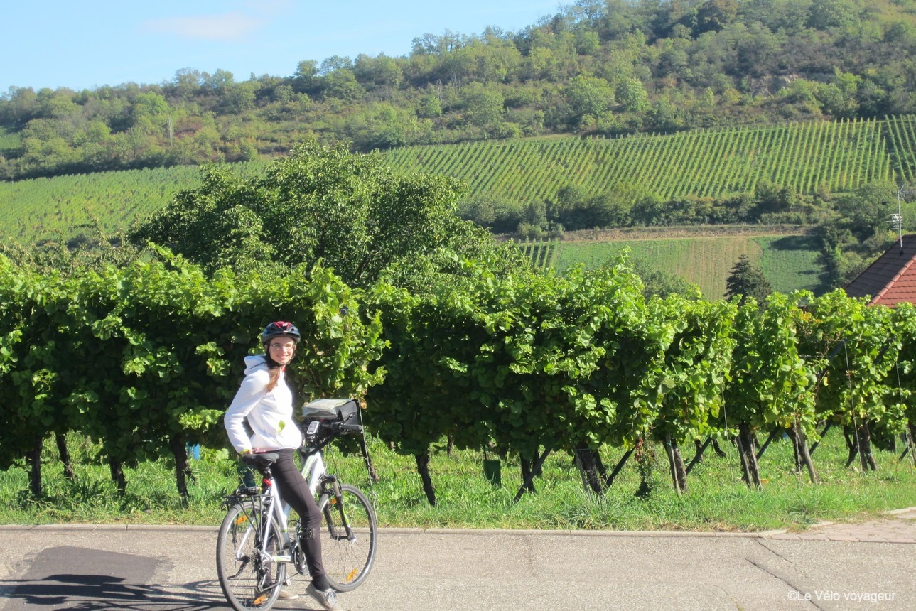 Escapade à vélo au coeur des vignobles alsaciens