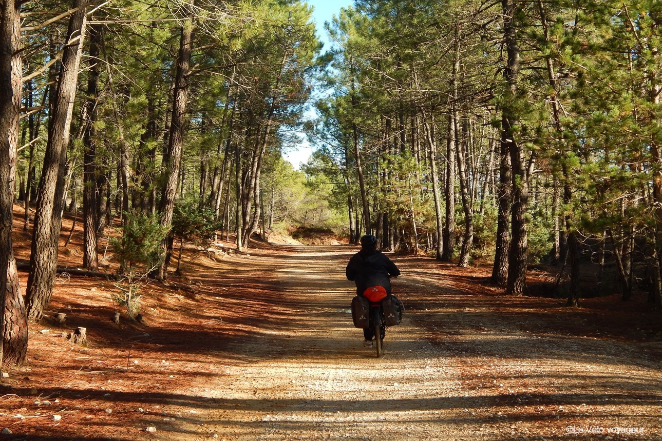 *Séjour d’exception* Découverte de la Provence à vélo
