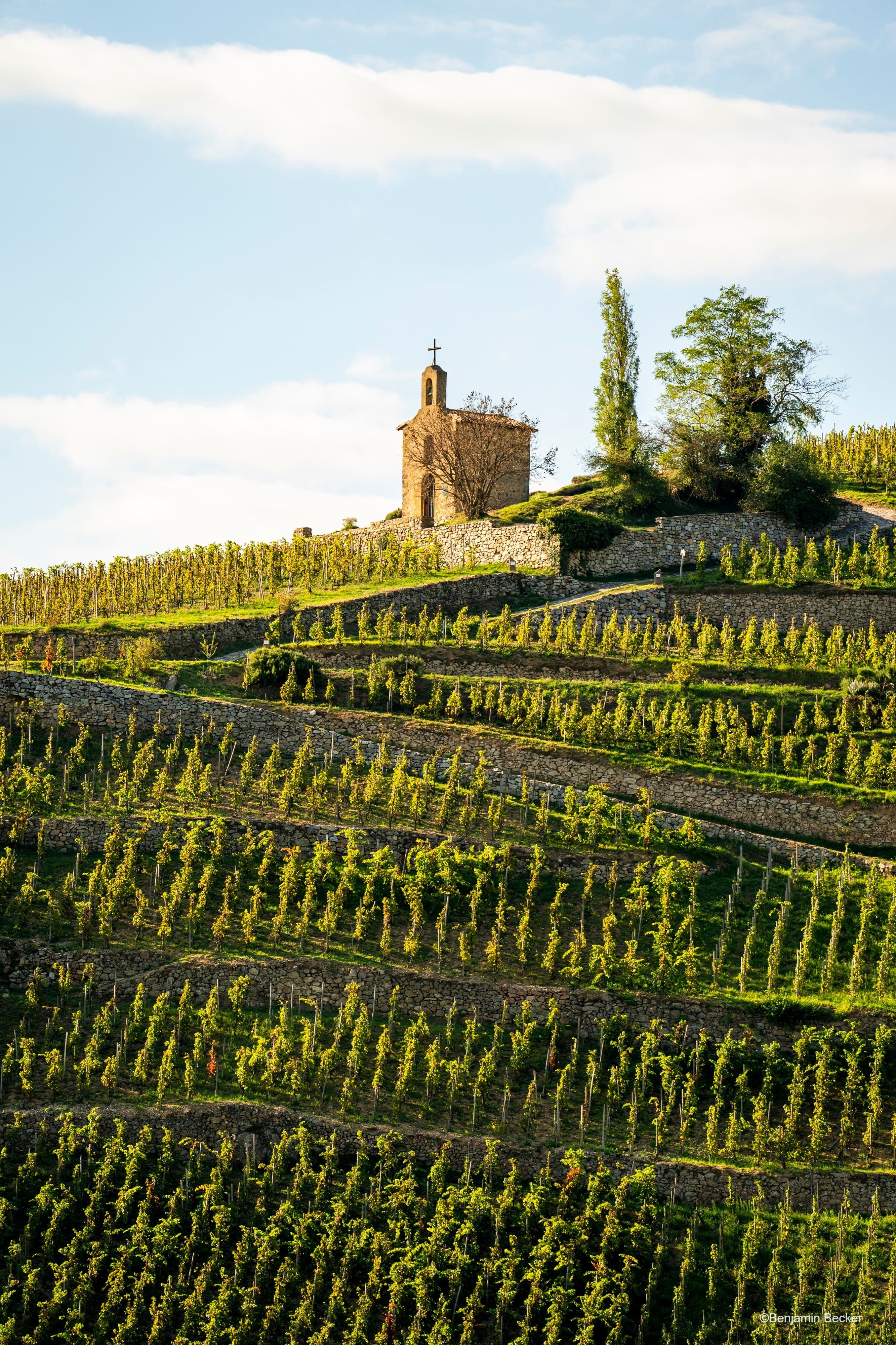 4-day cycling tour on ViaRhôna from Vienne to Valence