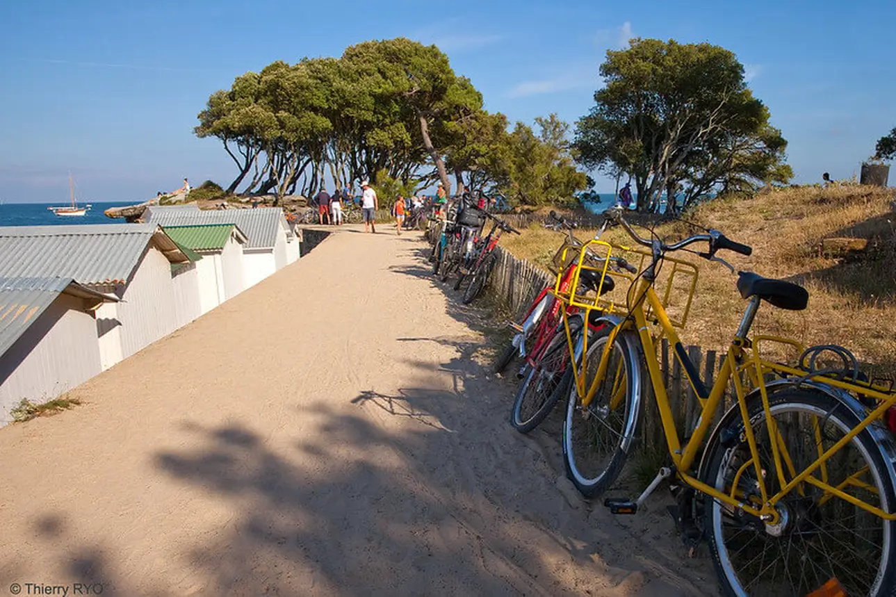 vélos jaunes sur la côte Atlantique