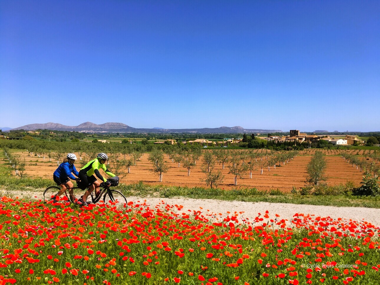 Cycliste dans les champs de coquelicots en Andalousie.