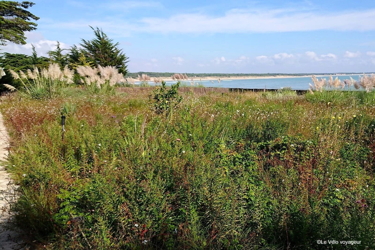 6 jours de vélo en Vendée le long de l’Atlantique