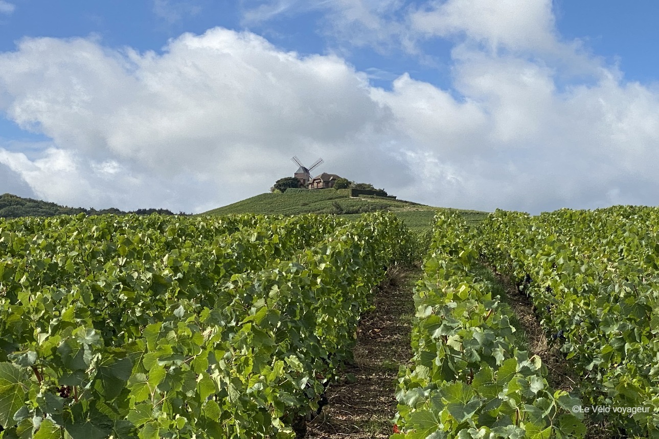 4-day bike tour in Champagne from Reims to Epernay