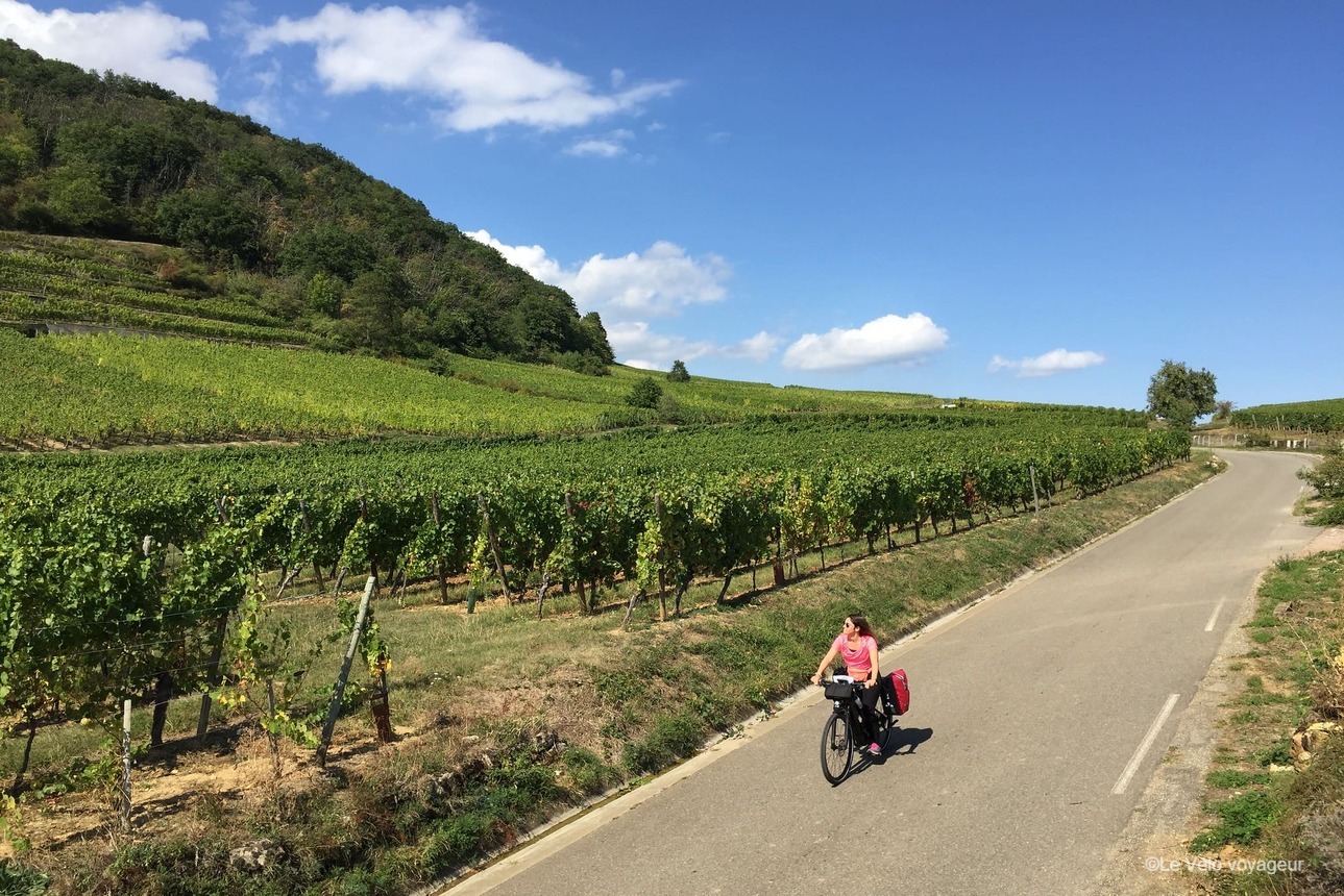 Une semaine en Alsace à vélo de Strasbourg à Colmar