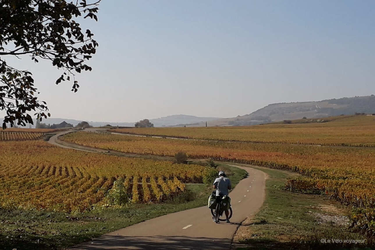 Bike getaway through the vineyards of Burgundy