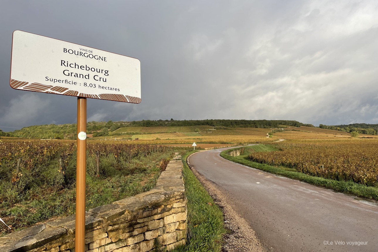 Bike getaway through the vineyards of Burgundy