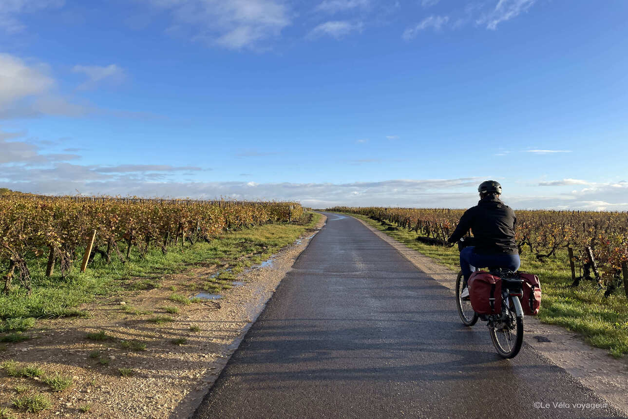 Traversée de la Bourgogne à vélo, entre canaux et vignobles